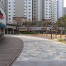 퀸덤 1차 아인슈타인 이미지