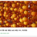 대봉감농장