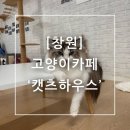 캣츠하우스 | 창원 고양이카페 팔용동 캣츠하우스 아이랑 실내 놀곳