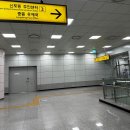 네일바이슈 이미지