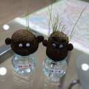 고재팬일본유학 - 서초구 강남대로 359 | 고재팬일본유학