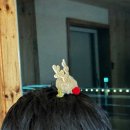 견불동정원 | [함양 여행] 지리산견불동 사랑채 에어비앤비 숙박 후기