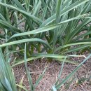 만산농장 이미지