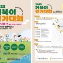 거북이네 이미지