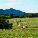 대열농장 이미지