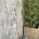 공사이 | 공주 여행 카페 추천 :: 공산성 뷰맛집 카페 “공다방” 내돈내산 솔직후기