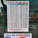 2023년 3월 12일(일) 금정산 고당봉 [버스타고] 이미지