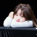 모찌댕