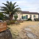 라라피포 제주 이미지