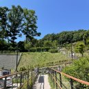 노태공원 화장실 | 천안 노태공원 놀이터 놀이숲에서 놀자