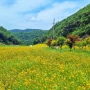 월리사 - 청주시 상당구 | 월리사
