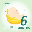 뉴아인약국 | <임신일기 20주차> 백수지만, 제일 바쁜 임산부 ٩( ᐛ )و