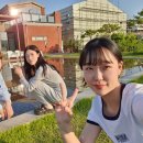 행복손만두칼국수 이미지