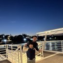 해중공원펜션 | 🌊 "바닷속에도 공원이 있다?" 강릉 사근진 해중공원 전망대 &amp; 순개울해변 밤산책