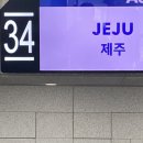 요고조고제주