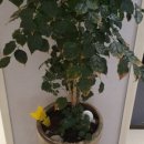 번창한의원 이미지