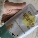 오마이댕스 | 7개월 강아지 첫 간식/첫 특식으로 선택한 제품 리스트 및 후기