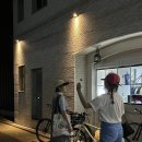 피노미나 이미지
