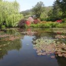 지베르니10 - 베르농 지베르니 마을에서 기차로 루앙에! 이미지