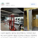 인투더짐 이미지