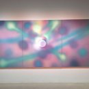 빛이나개 이미지