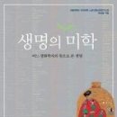 미학 이미지