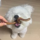 멍스낵 이미지