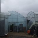 영신농원 이미지