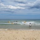 송지호 해수욕장 이미지