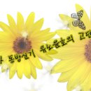 월드스타 JOA와 동방신기 유노윤호의 고단한 결혼생활?! -제28-2화- 이미지