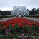 꾸리찌바 이미지