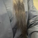 [서울 상계 미용실] ‘상계동 미장원’에서 꼼꼼하신 대표원장님께 모발 데미 크리닉 받은 후기