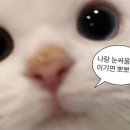 리유네일 - 남구 | 리유네일