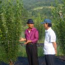 효재농장 이미지