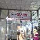 대전 둔산동 꽃시장 예림꽃집 후기