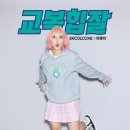 스쿨룩스 이데일리