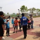 도이초등학교