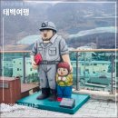 철암탄광역사촌 이미지