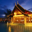 메드메이트 이미지