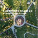 스타 PC | 보라 덕후들도 반한 화이트물결 전주대학교 스타정원 샤스타데이지 만발?