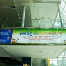 제일에이엔씨주