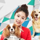 세인트동물병원 네이버블로그