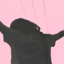 (주)게이즈 이미지