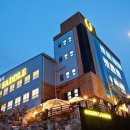 (주)골든쌔들 이미지