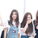프로미스나인 카카오 검색결과