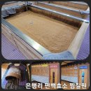 은행리 편백효소 찜질원 | 부모님 피로해소에 좋은 청주 찜질방 은행리 편백효소찜질원