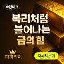 금의 | 복리처럼 불어나는 금의 힘, 금캐기 앱테크 후기 (ft. 매달 금 3.1g 채굴 비밀)