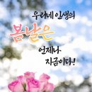 3/15~16일 광양 매화ㆍ구례 산수유축제에서 힐링했어요~^^ 이미지