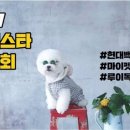 펫스타