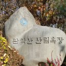 11/19 Excellent in mountain 관악산 6봉8봉 번개장(또띠) 이미지